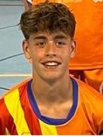 NICOLAS DOMINGUEZ LLOPIS